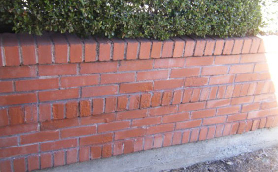 A brick wall with bushes growing on it.